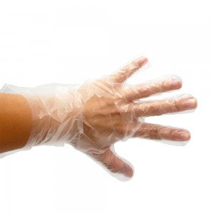 Disposable Plastic Glove L 100'S