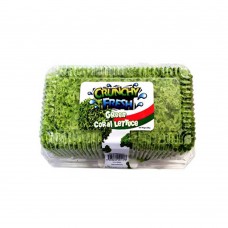 CF Green Coral Lettuce 200G